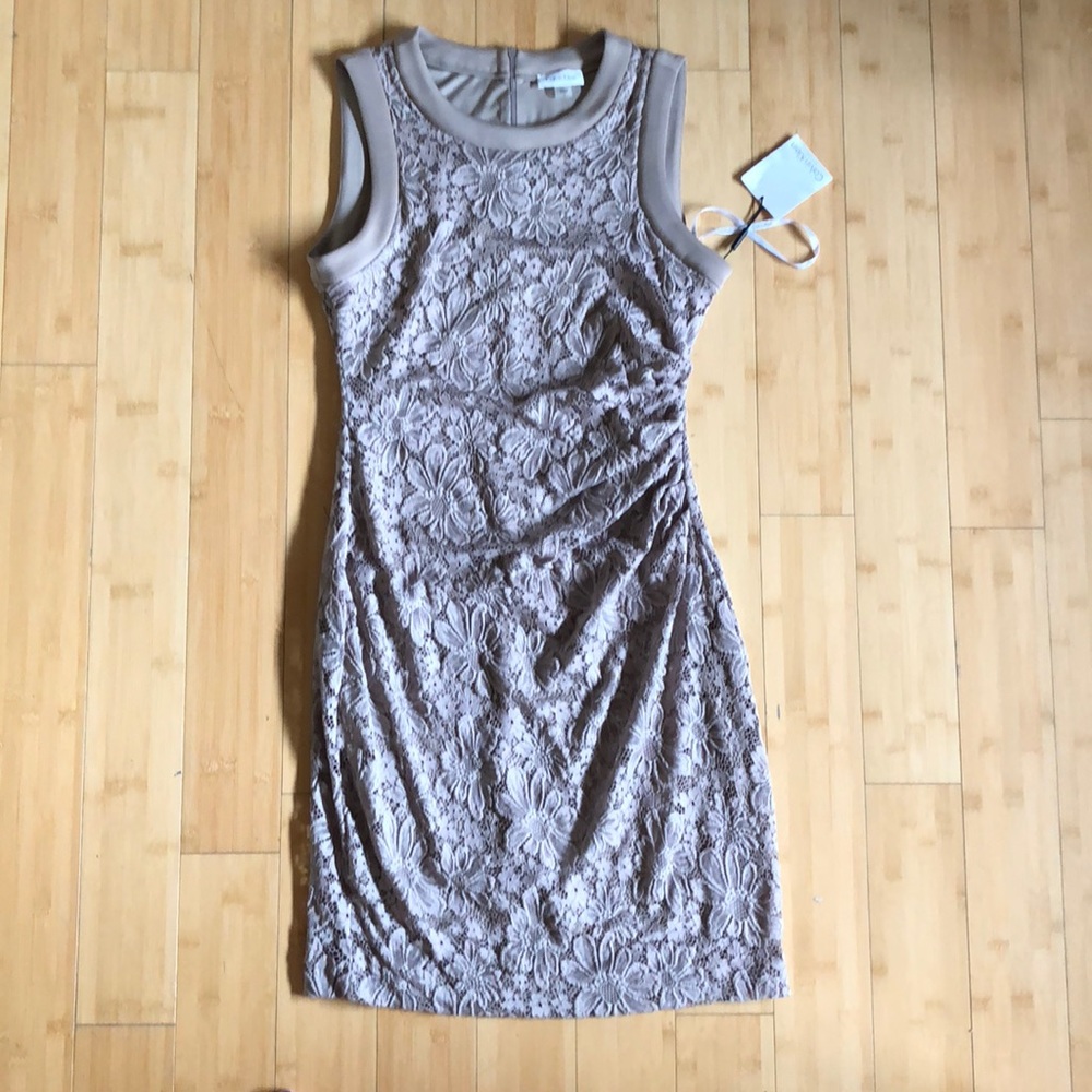 NWT Calvin Klein Gorgeous Slenderizing Dress size4